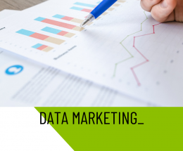Le data marketing